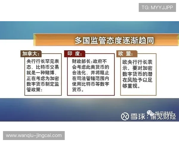 稳胆的意思是什么泛体育平台对比避坑防骗 稳胆的意思是什么泛体育平台对比避坑防骗